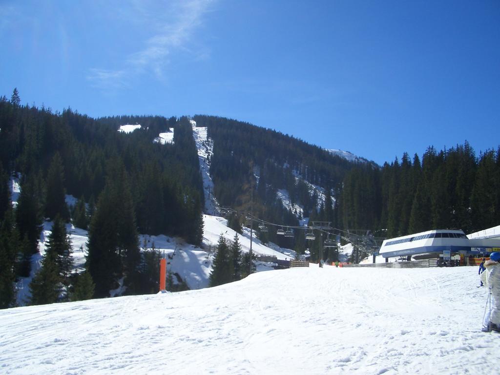 Apartamento Haus Schneeberg Mit Hochkoenig Card Mühlbach am Hochkönig Exterior foto